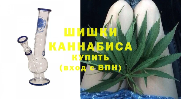 крисы Вязьма